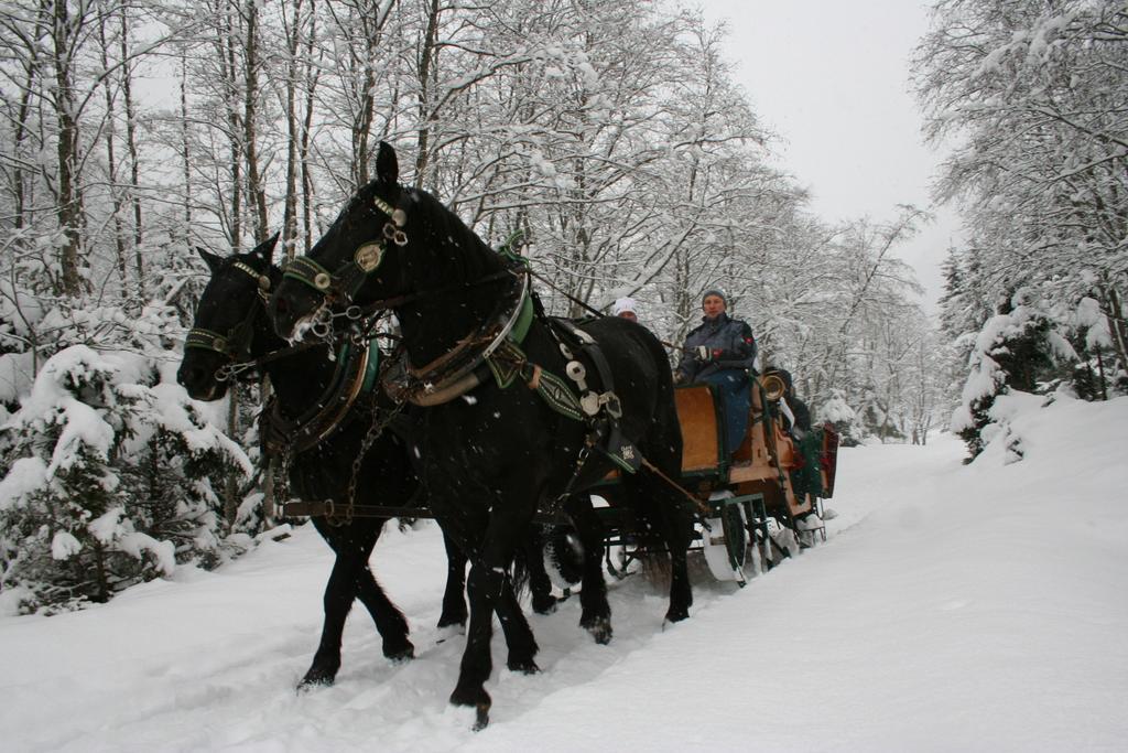 Farm stay Maurachhof Grossarl