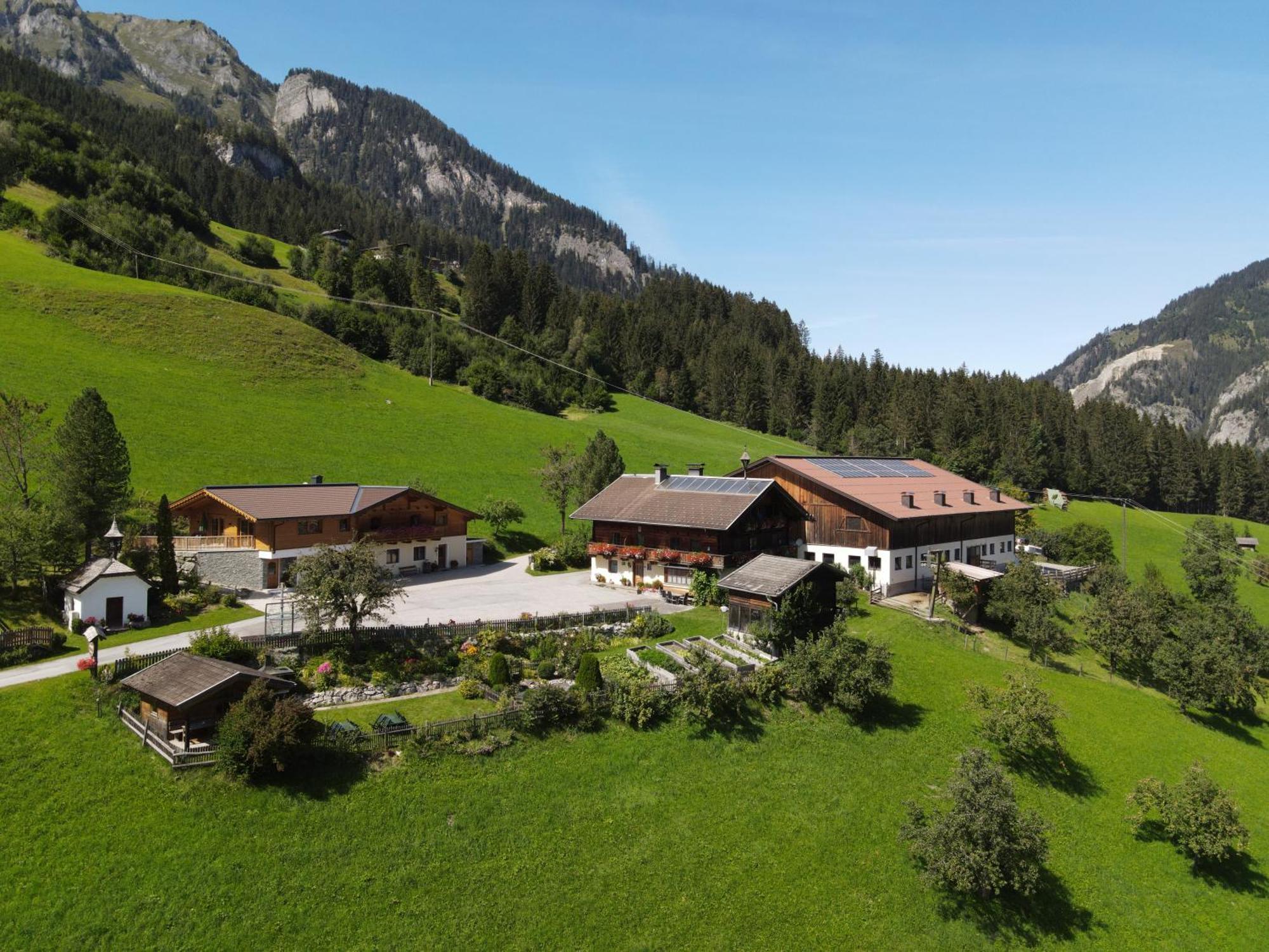 Farm stay Maurachhof Grossarl