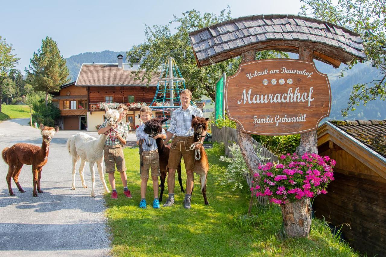 Farm stay Maurachhof *